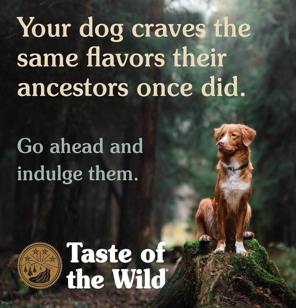 Taste of the Wild High Prairie with Bison And Roasted Venison for Puppies 2 kg