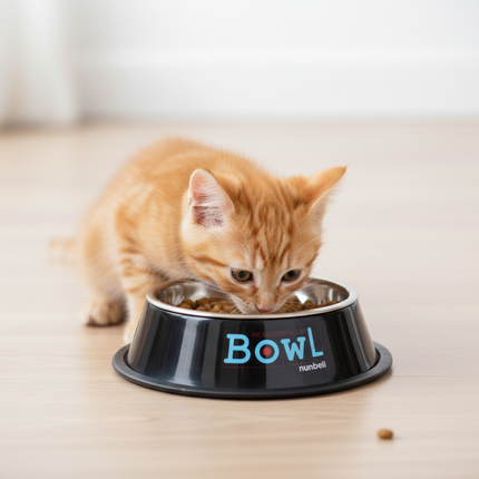 Nunbell Small Black Pet Bowl - Ziggy Pupps