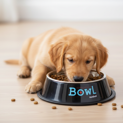 Nunbell Small Black Pet Bowl - Ziggy Pupps