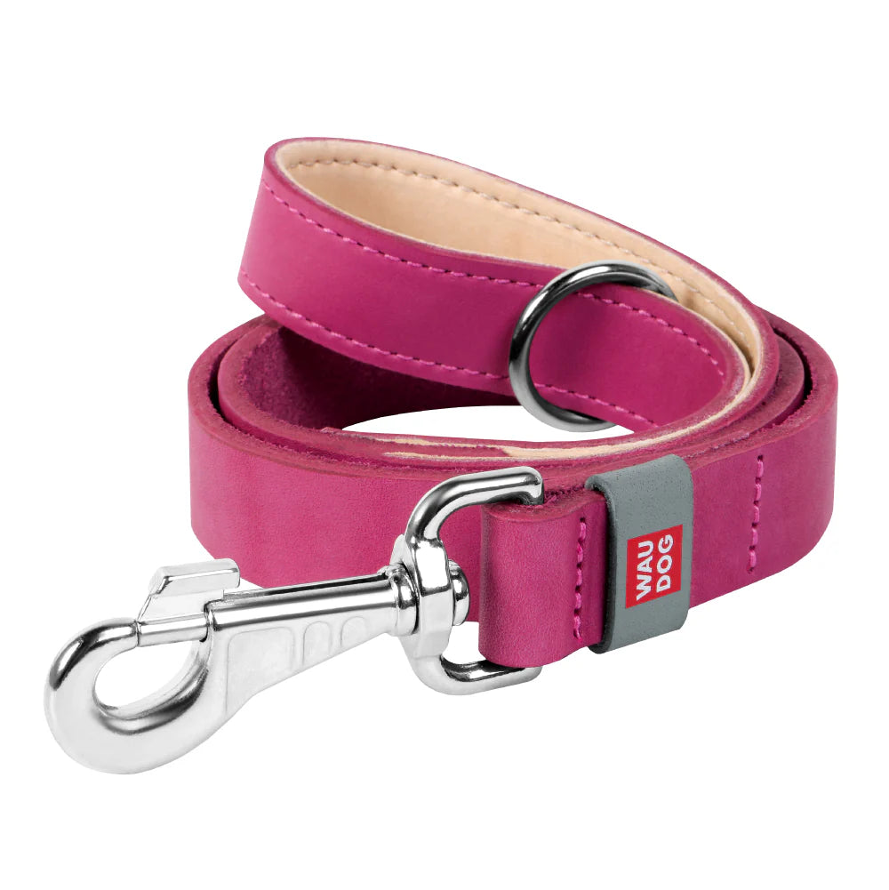 WAUDOG Large to 2XL Pink Dog Leash 122 in 2.5cm