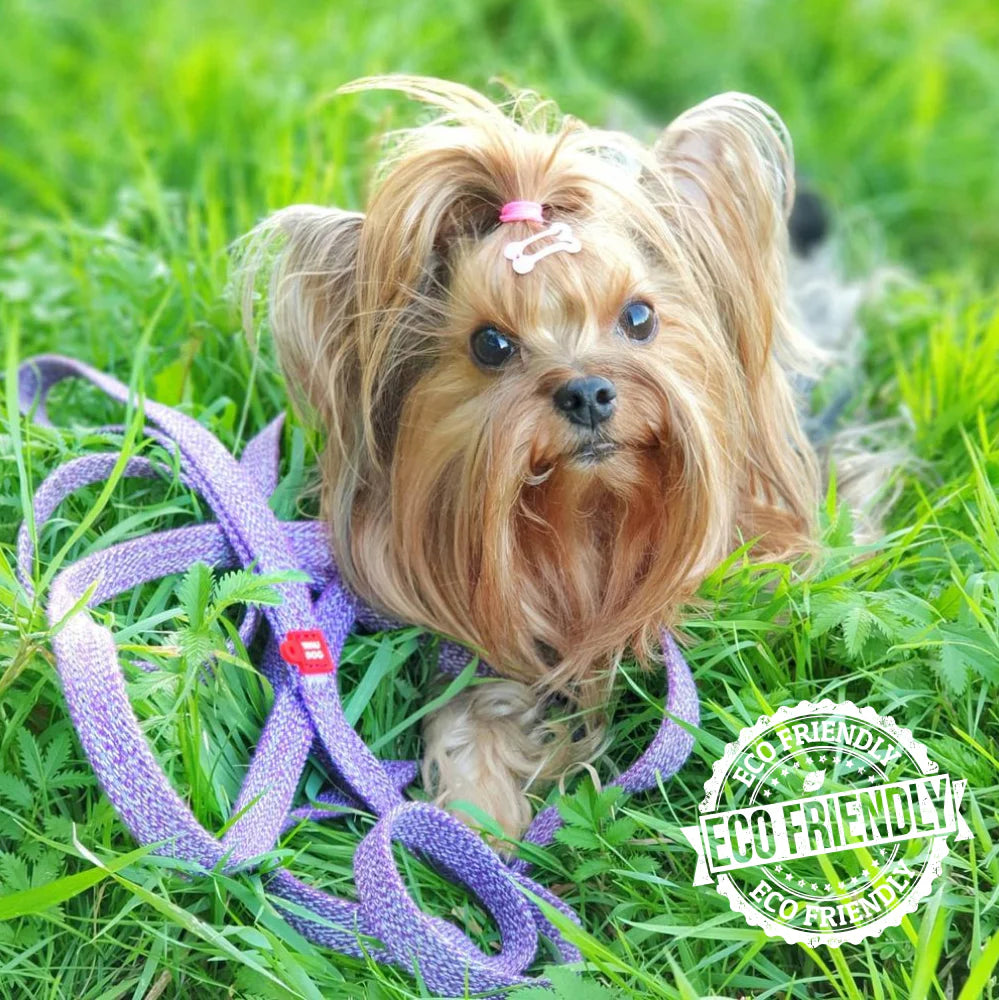 WauDog Small Purple Cotton Leash 150 in 1.5 cm