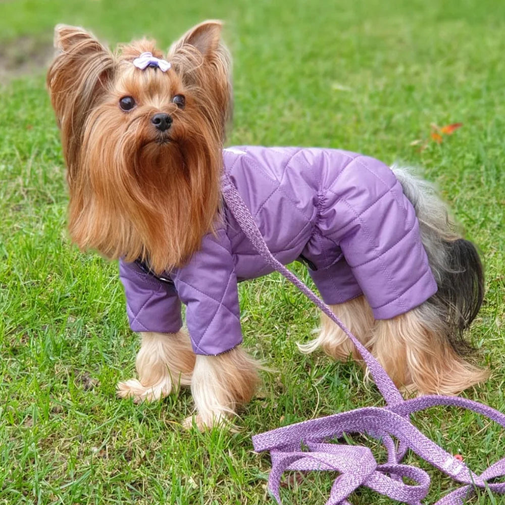 WauDog Small Purple Cotton Leash 150 in 1.5 cm