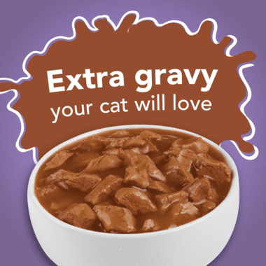 Purina Friskies Chunky With Turkey In Savory And Extra Gravy Wet Food