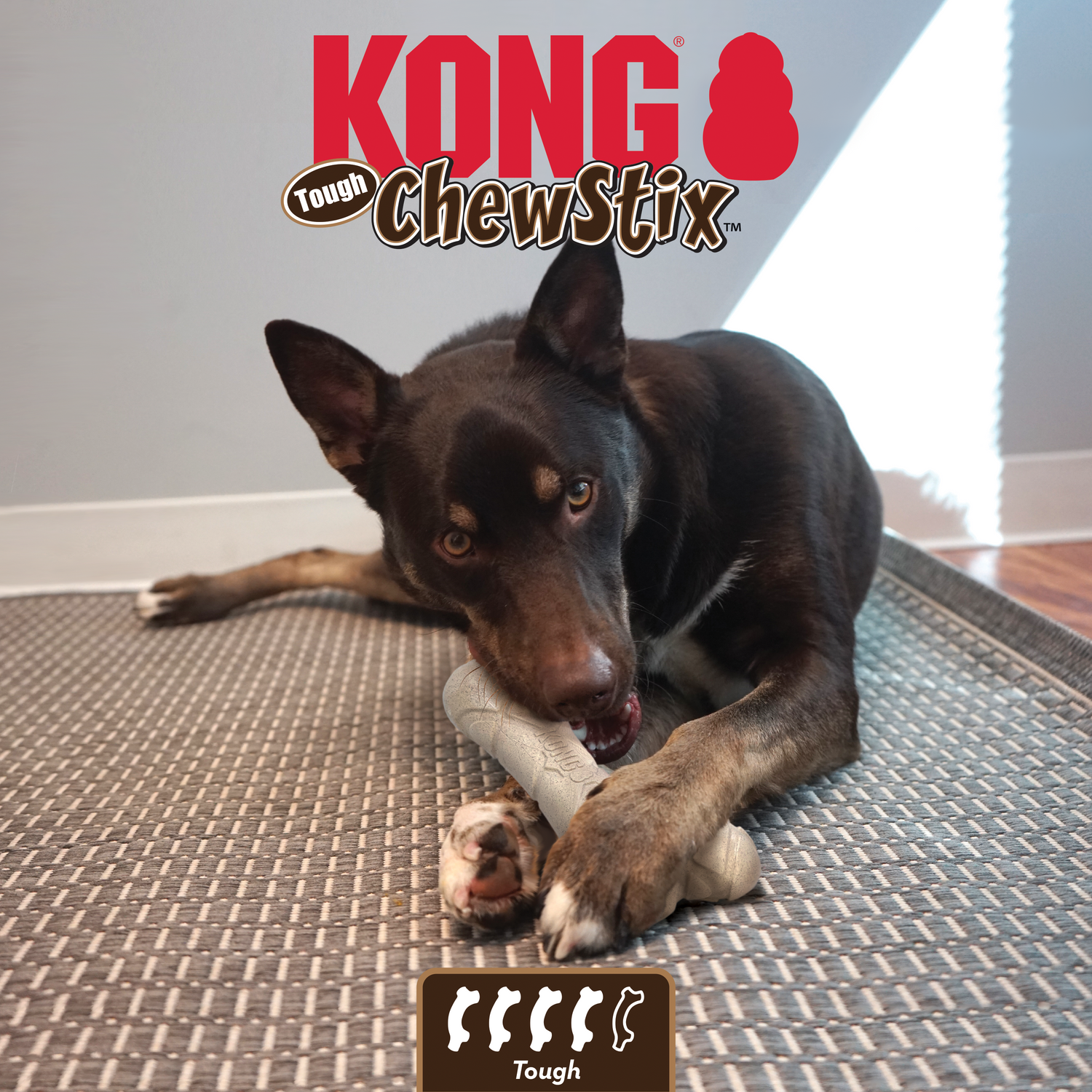Kong Chew Stix Medium Wooden Toy for Dogs 11 to 30 kg