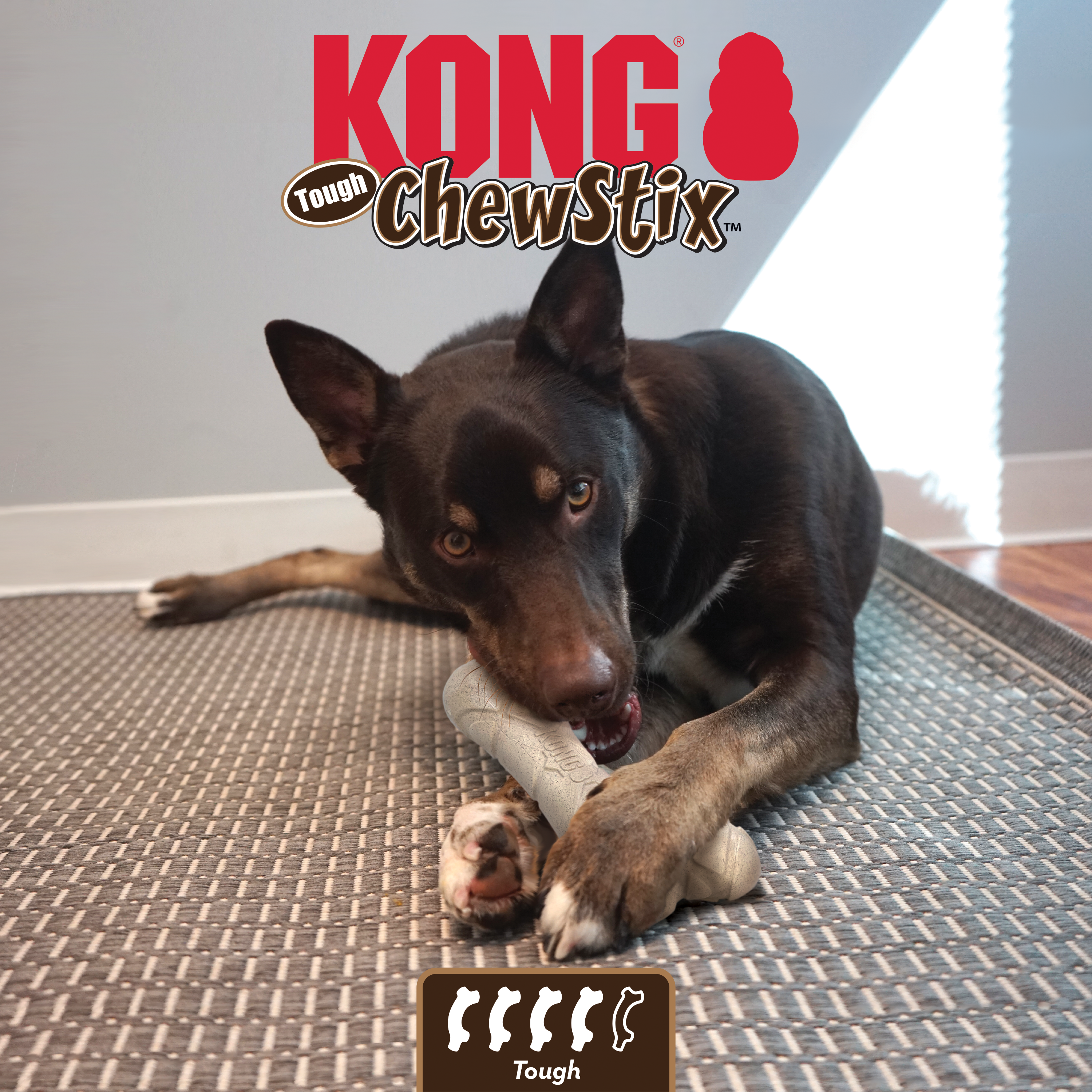 Kong Chew Stix Medium Wooden Toy for Dogs 11 to 30 kg