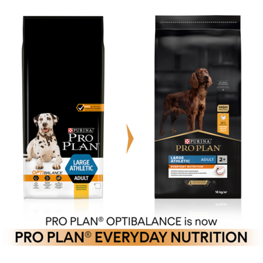 Purina Pro Plan Everyday Nutrition Dry Food with Chicken for Large Athletic Adult Dogs 14 kg