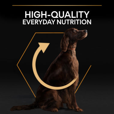 Purina Pro Plan Everyday Nutrition Dry Food with Chicken for Large Athletic Adult Dogs 14 kg