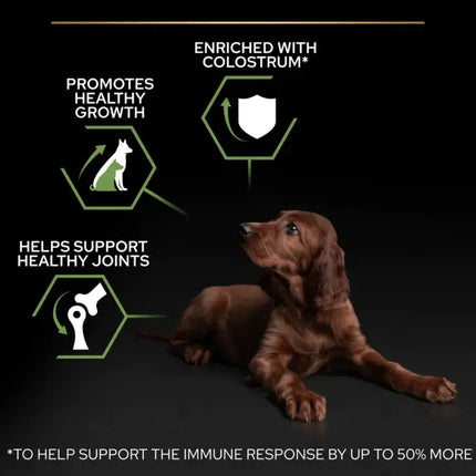 طعام جاف Purina Pro Plan Healthy Start بالدجاج للجراء الرياضية من السلالات الكبيرة 12 كجم 