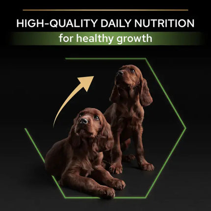 طعام جاف Purina Pro Plan Healthy Start بالدجاج للجراء الرياضية من السلالات الكبيرة 12 كجم 