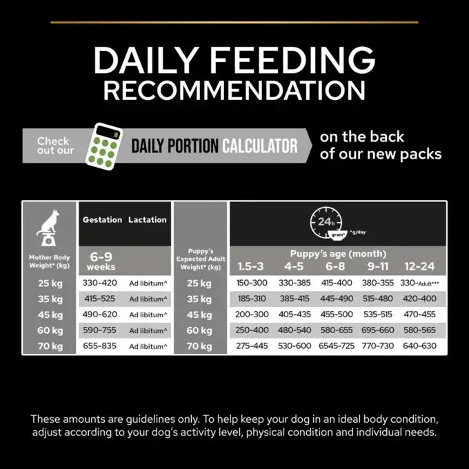 Purina Pro Plan Healthy Start Dry Food with Chicken for Athletic Large Breed Puppies 12 kg