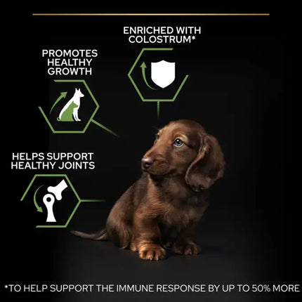 طعام جاف بورينا برو بلان ستارت بالدجاج للجراء من السلالات الصغيرة 3 كجم 