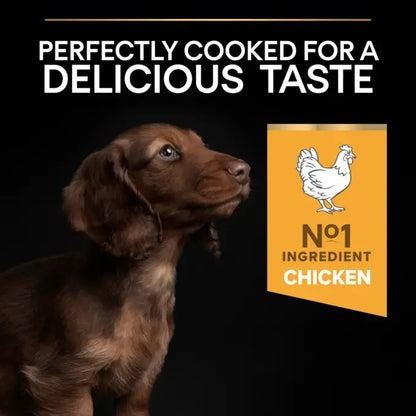 Purina Pro Plan Start Dry Food with Chicken for Mini Breed Puppies  3 kg