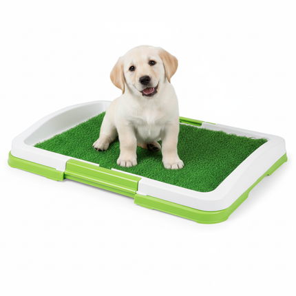Puppy Potty Pad  47 × 34 × 6 cm - Ziggy Pupps