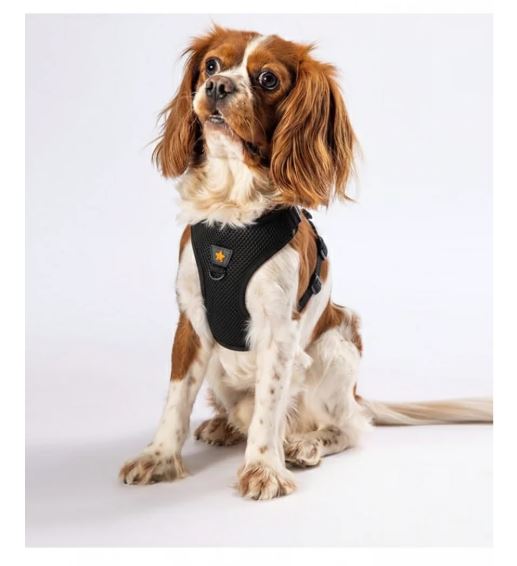 PAWSTAR Air-Mesh Harness Black XXS