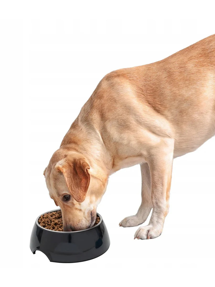 Zoofari food or water bowl blue 2 approx 160 ml black