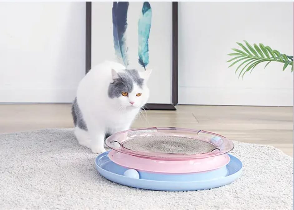 Naomi 3 in 1 Interactive Scratch and Toy for Cat