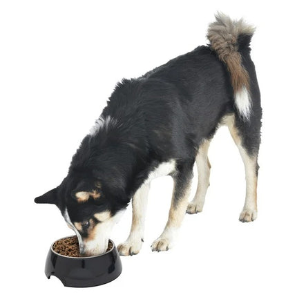 Zoofari food or water bowl blue 2 approx 160 ml black