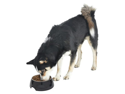 Zoofari food or water bowl blue 2 approx 160 ml black