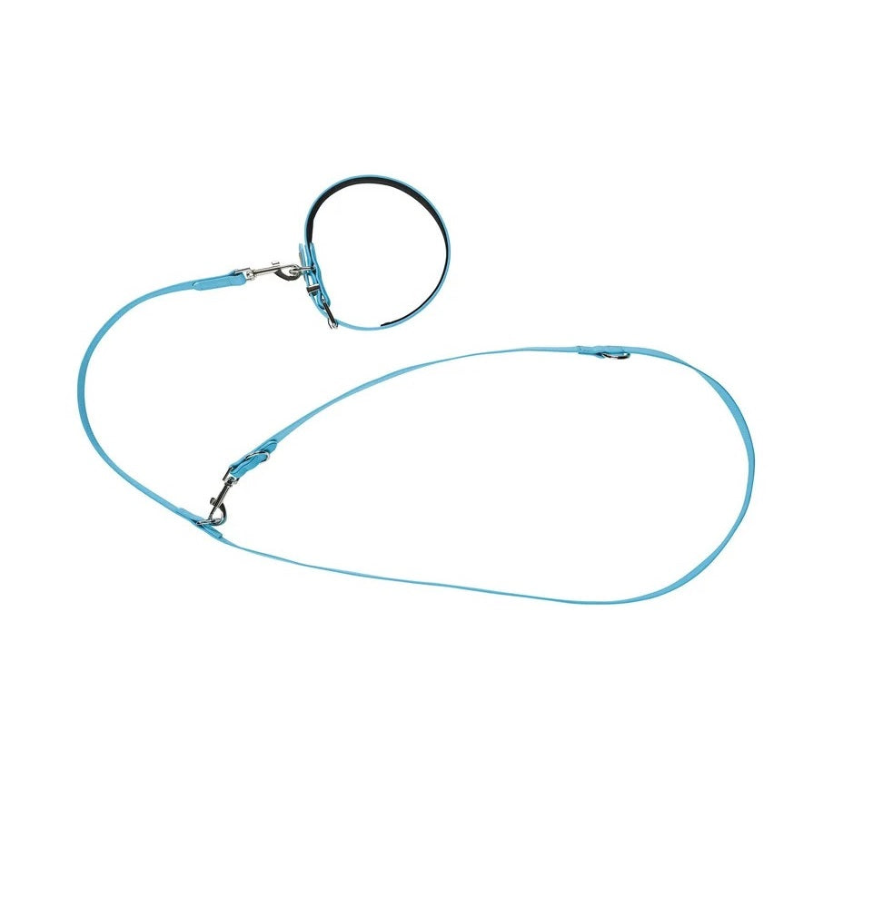 Zoofari dog collar and leash