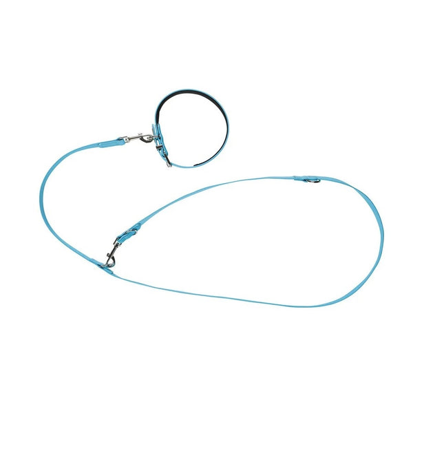 Zoofari dog collar and leash