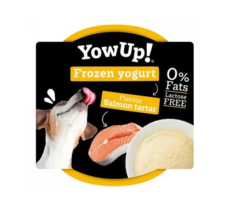 YowUp Dod Salmon Tartare Frozen Yogurt