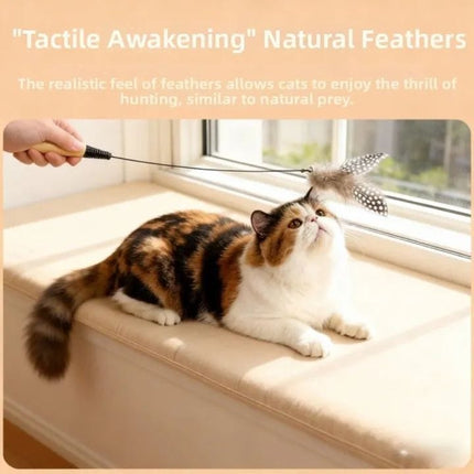 Interactive Feather Teaser Wand Cat Toy with Wooden Handle