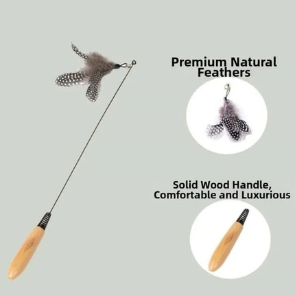 Interactive Feather Teaser Wand Cat Toy with Wooden Handle