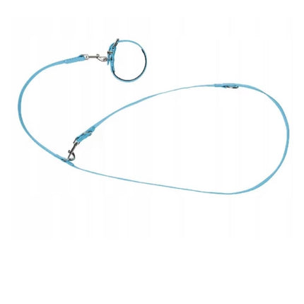 Zoofari Adjustable Dog Leash and Collar Set Light Blue Multi-Way Training Leash Small