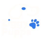 Ziggy Pupps