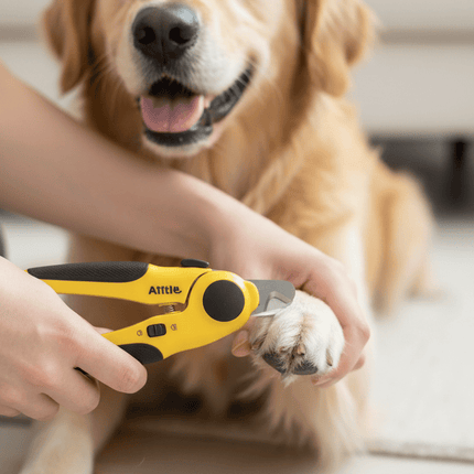 aiile Dog and cat Aiitle Pet nail clipper Portable LED Light