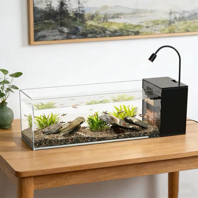 Aquarium Fish Desktop Glass Aquarium with Built-In Filter And LED Light  45 × 15 × 15 cm