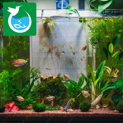 Aquarium Fish T4LED-600B Aquarium LED Light 8W 60-80cm Amphibious Energy Saving Fish Tank Plant Lighting