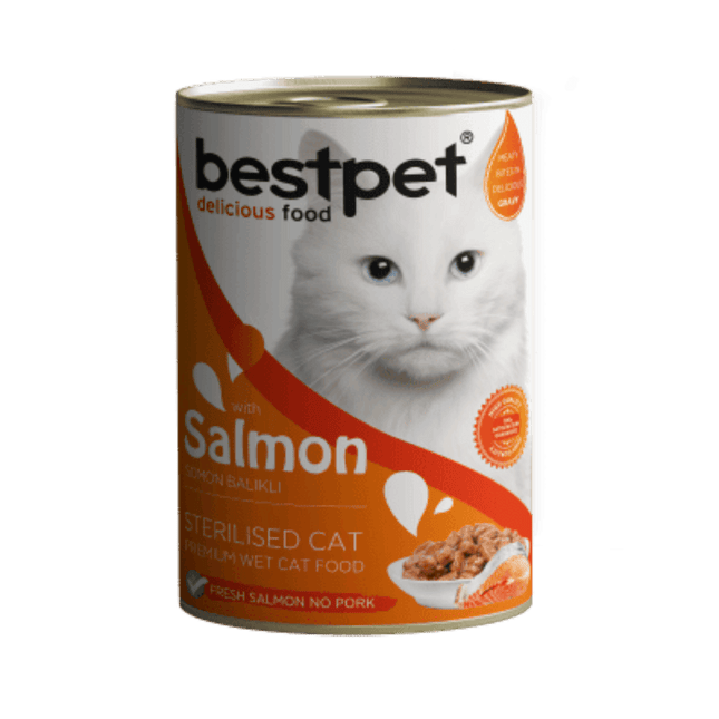 BestPet Cat BestPet Canned Wet Food With Salmon 400g
