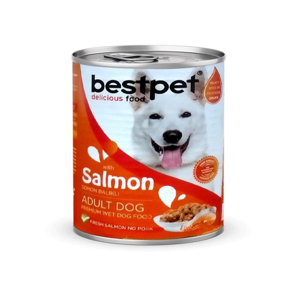 طعام رطب للقطط من BestPet مع سمك السلمون 400 جرام