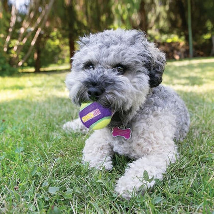 Buddy Pet dog KONG CrunchAir Tennis Ball Dog Toy Multipack Yellow And Purple