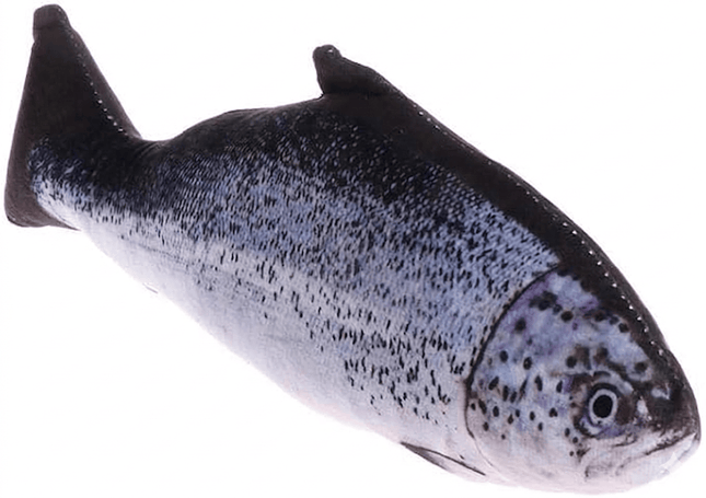 Cat Toy Cat Funny 3D Realistic Plush Fish Cat Toy with Catnip Trout 20cm Size S