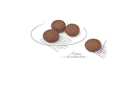 رويال كانين دايجستيف كير ميني بريد 3 كجم