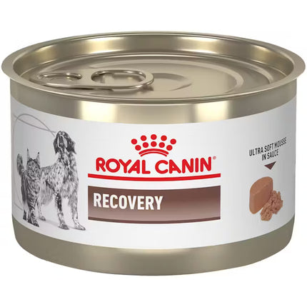 Royal Canin Recovery Ultra Soft Mousse Wet Food for Diabetic Pets 195 gr