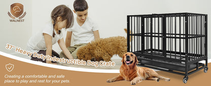 Dog Kennels and Crates for Dog Large Metal