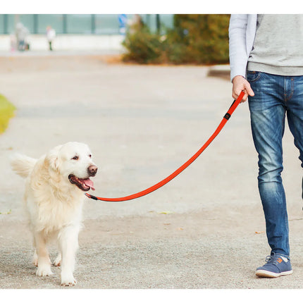 DOCO dog DOCO® Athletica Air Mesh Performance Dog Leash 5ft Size M/L 2.5 × 150 cm Turquoise