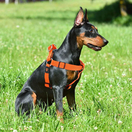 DOCO dog DOCO® Athletica Breathable Step-In Mesh Dog Harness Size Medium 2.5 × 53–77 cm Lime