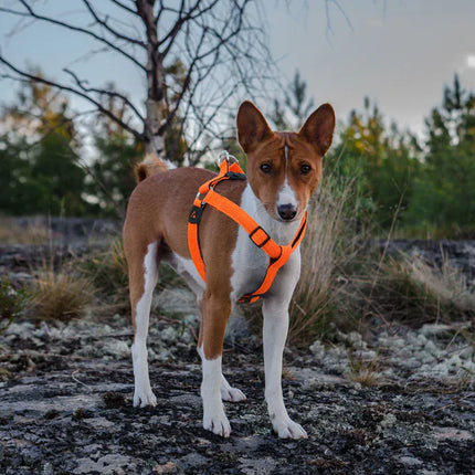 DOCO dog DOCO® Athletica Breathable Step-In Mesh Dog Harness Size Medium 2.5 × 53–77 cm Lime