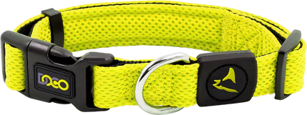 DOCO Dog DOCO Athletica Medium lime Mesh Dog Collar 34 to 49 in 2.5 cm
