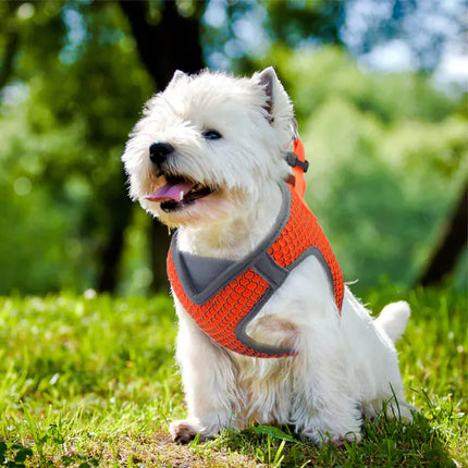 DOCO dog DOCO Athletica Quick Fit V Mesh Reflective Harness X Large