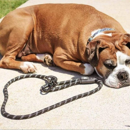 DOCO Dog DOCO Black and Red Reflective Rope Dog Leash 150 in 1.3cm