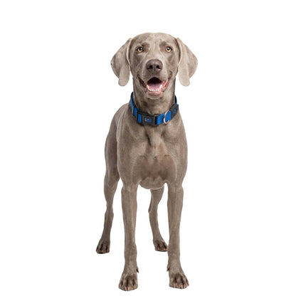DOCO dog DOCO® Classic Adjustable Nylon Dog Collar Durable Heavy-Duty Soft Pet Collar Size M 2.0× 35 – 51 cm Lime