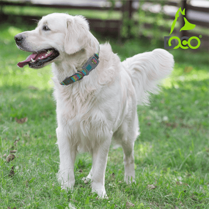 DOCO Dog DOCO® Jacquard Weave Collar D31 Medium