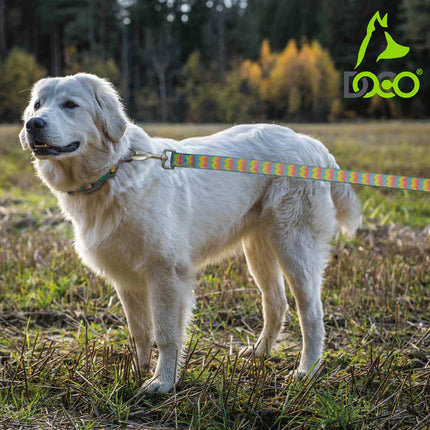 DOCO Dog DOCO® Jacquard Weave Leash Size M To L 2.5 x 180