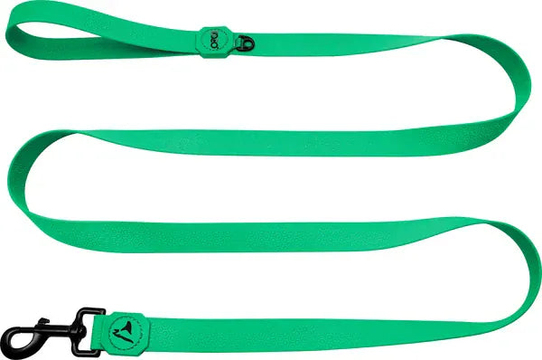 DOCO Dog Doco Jelly Bean Leash Large180 in 2.5 cm Mint Green