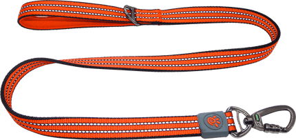 DOCO Dog Doco Medium Dog Leash 120 in 2.0 cm Orange